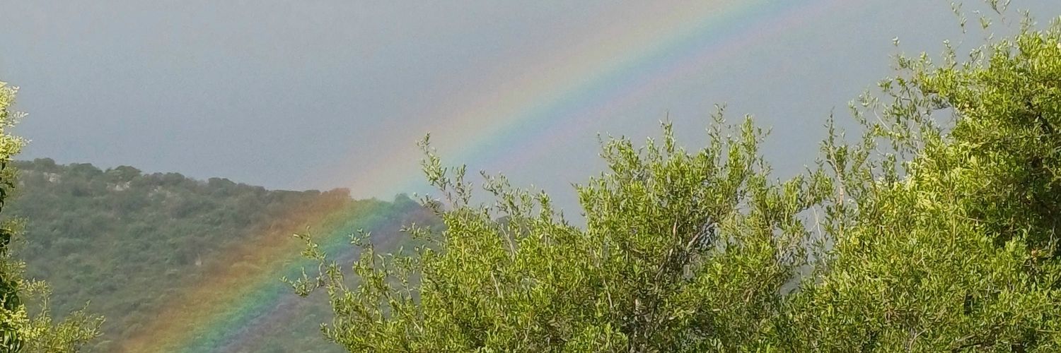Chechu1106's profile banner image