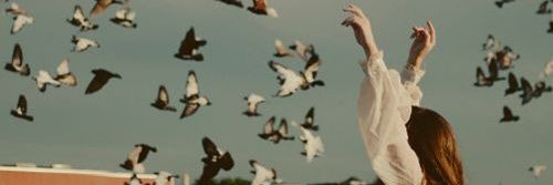 dandelionelii's profile banner image