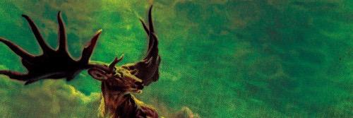 NicoColombana's profile banner image