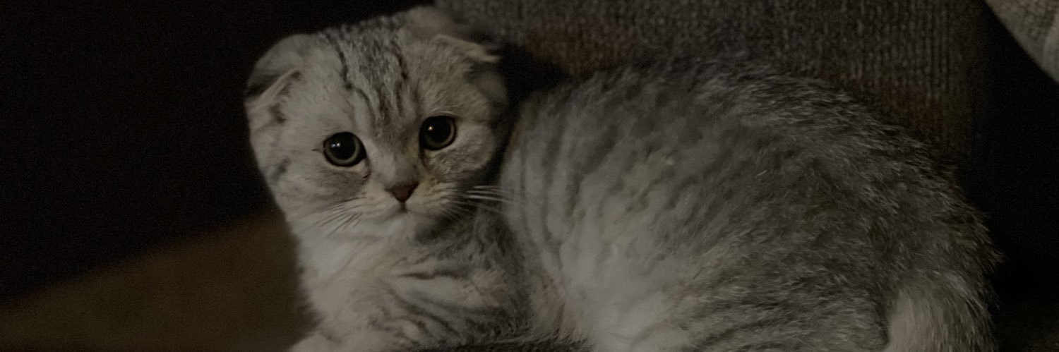 aceypea3's profile banner image