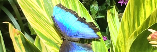 sjloper Profile Banner