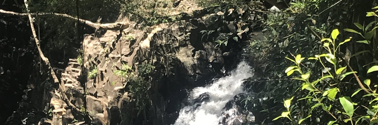 suzycostadarrow's profile banner image