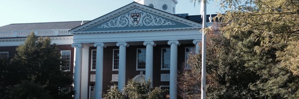 SFieldAngels Profile Banner