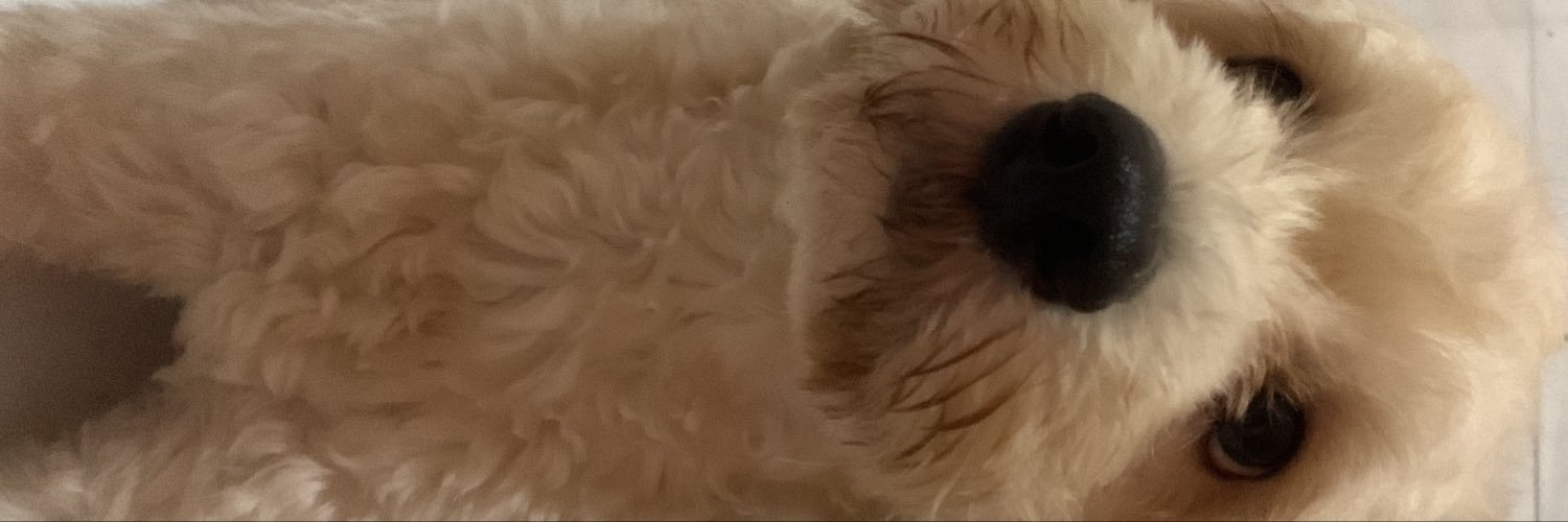 bgnlovvs's profile banner image
