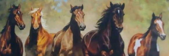 MegiMuoz's profile banner image