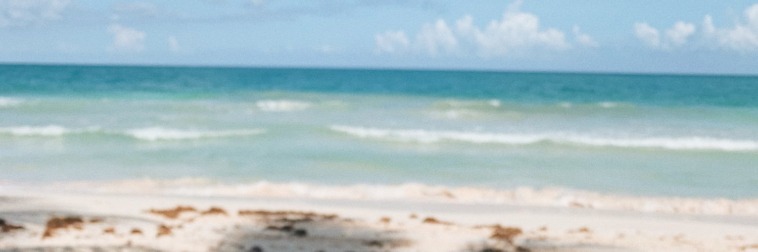 Chris_Rey_'s profile banner image