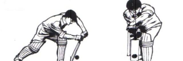 Tukvids banner