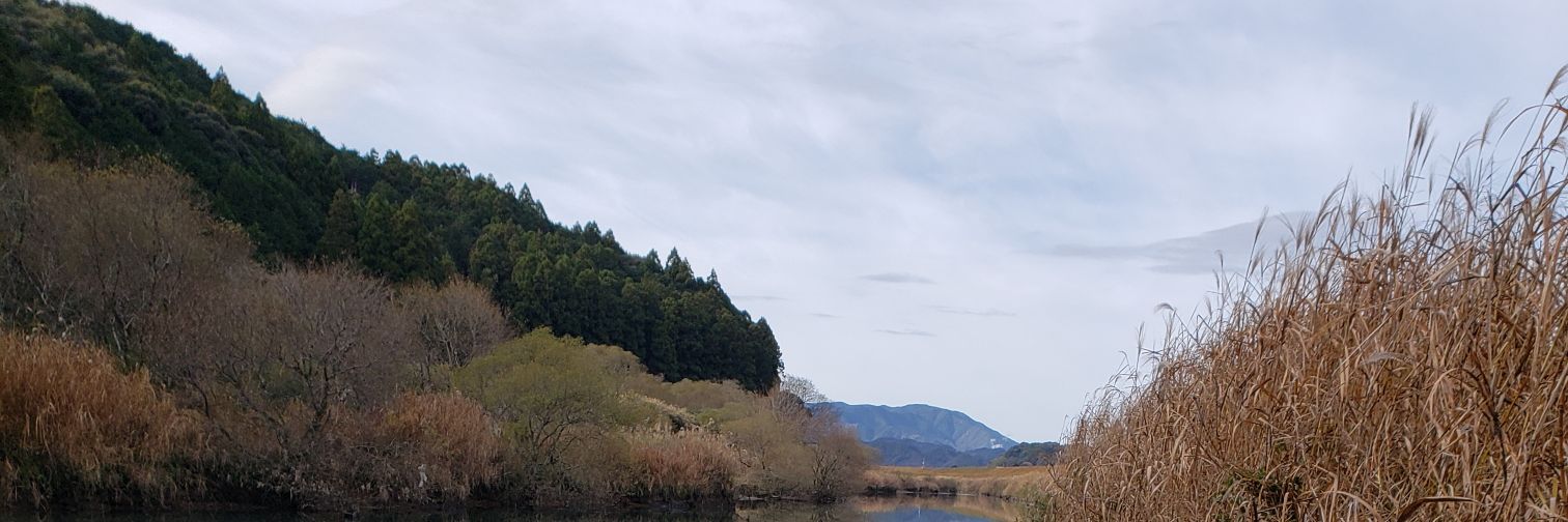 perperomajin's profile banner image