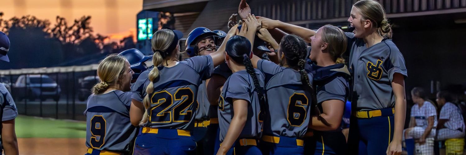 Savanna Robinette banner