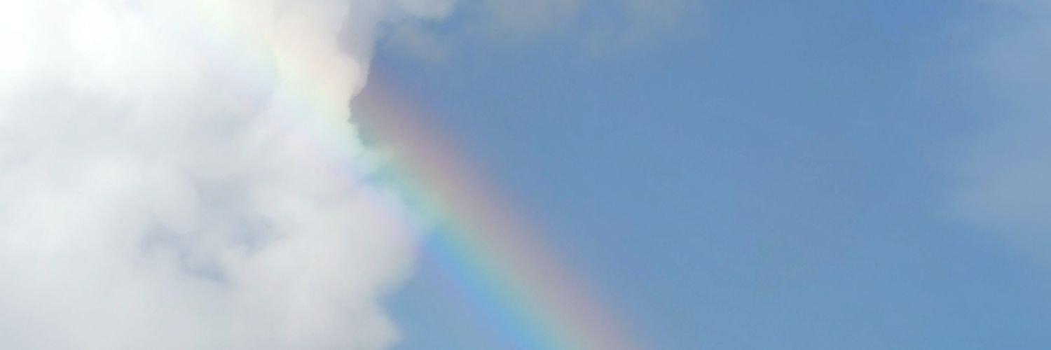 FatimaManchado's profile banner image