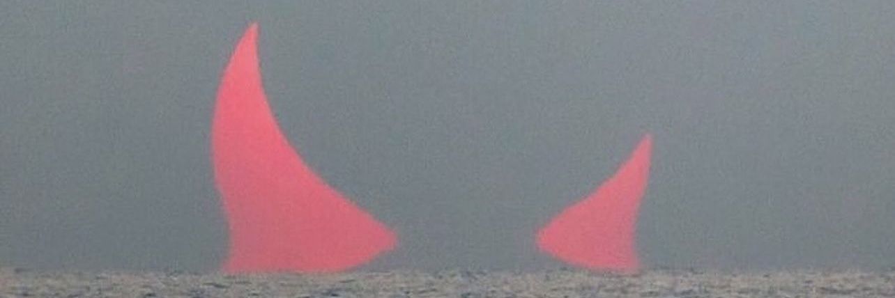 Runik banner