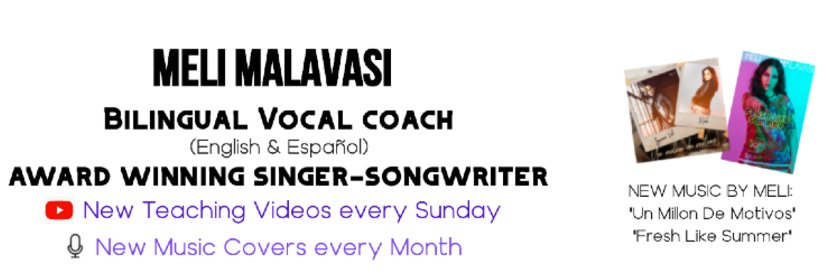 melimalavasi's profile banner image
