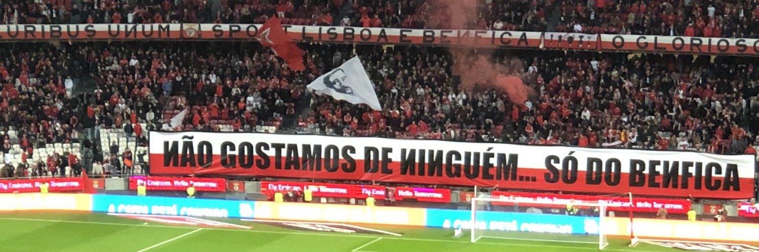 NunoPinto28's profile banner image
