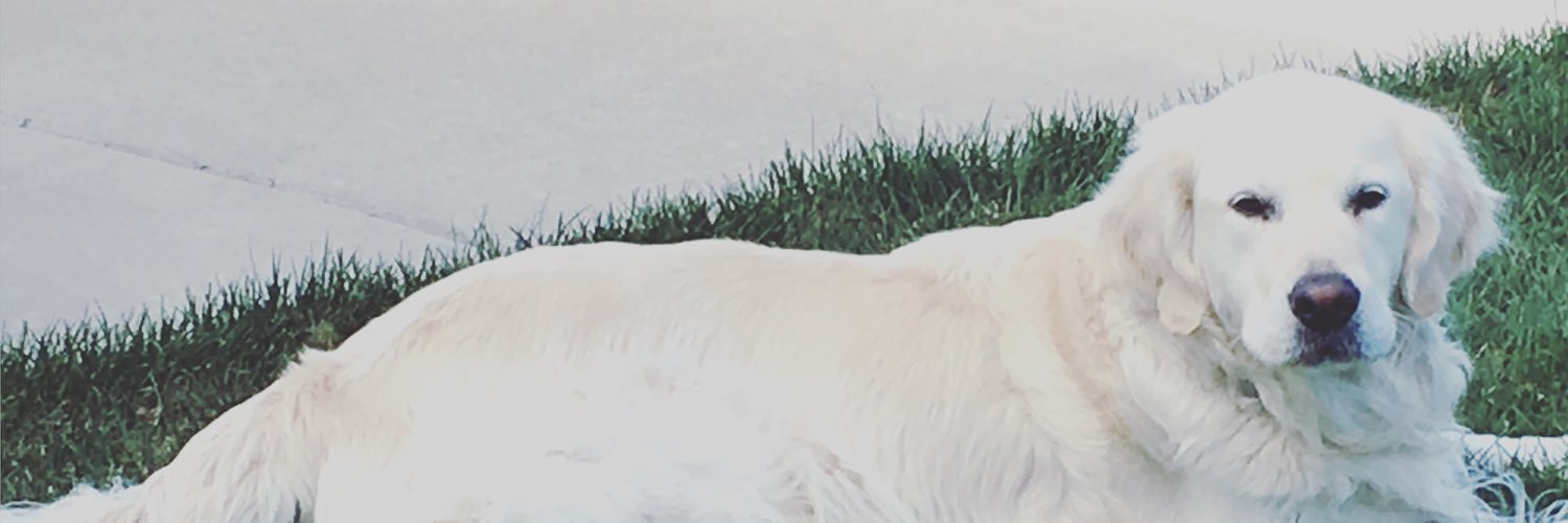 heddybitsh's profile banner image