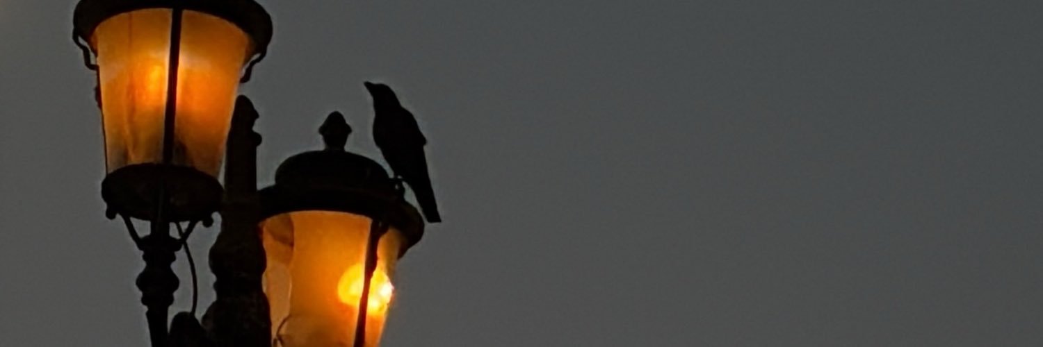 onceag2's profile banner image