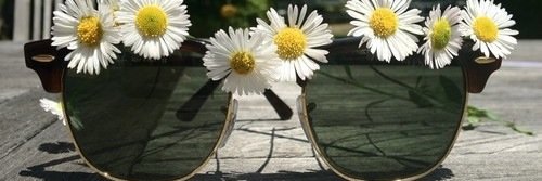 Raquel Sevy banner