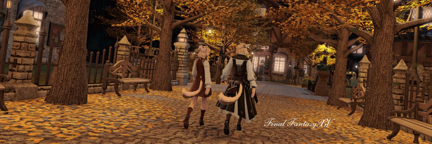 Valencia_starry's profile banner image