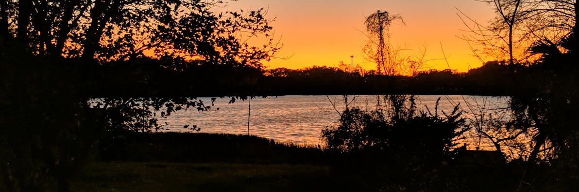 brianoforlando's profile banner image