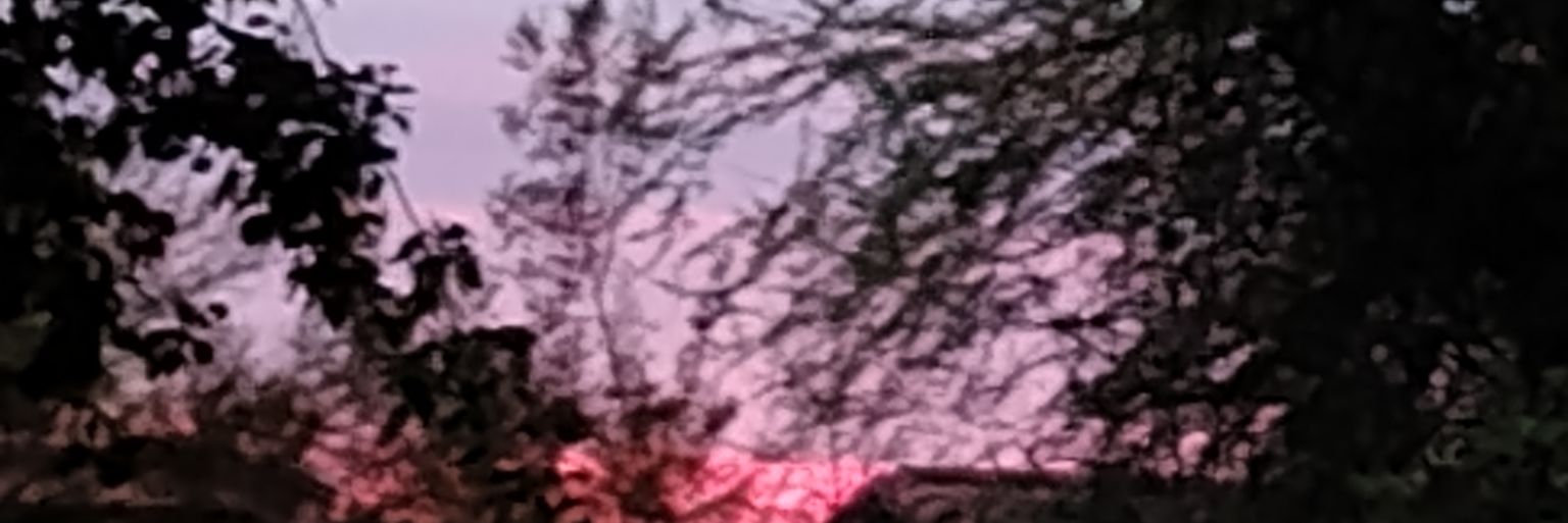 👾MELLY BOO👾 banner