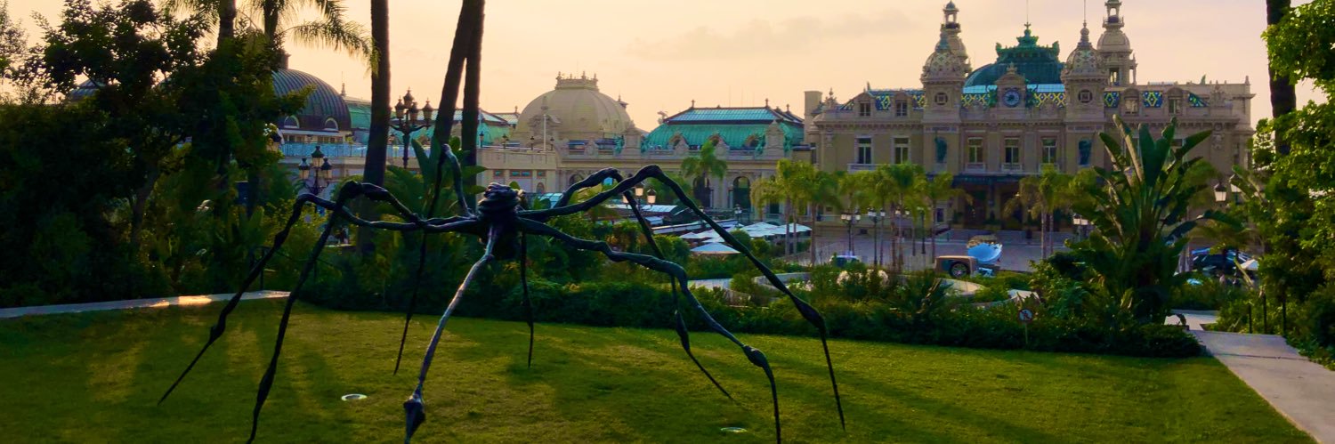 Hervé Zorgniotti banner