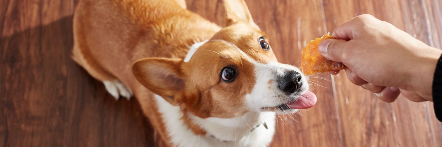 HollySchnack's profile banner image