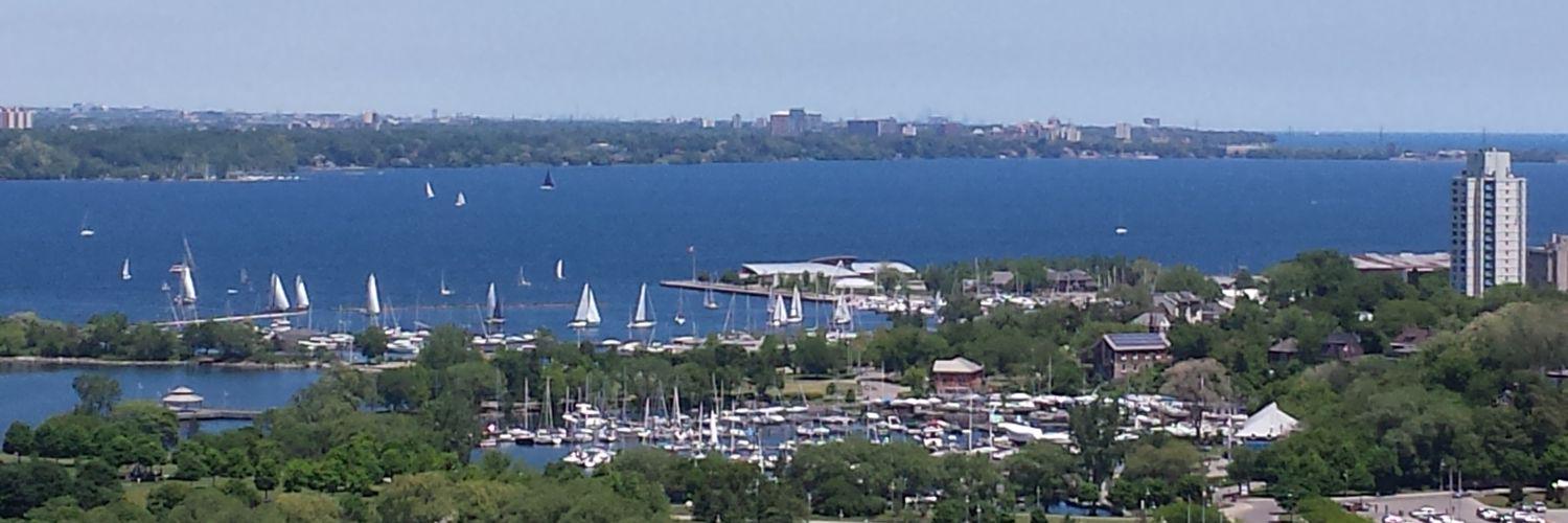 Dianne Robinson banner