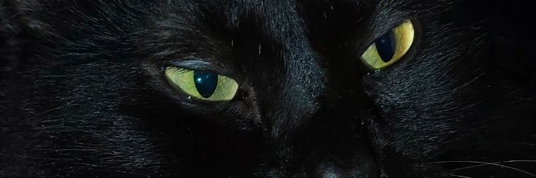 GabrielY4986's profile banner image