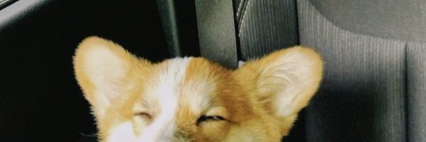 biancsdvr Profile Banner