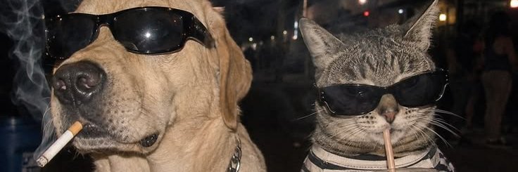 jrythr_'s profile banner image