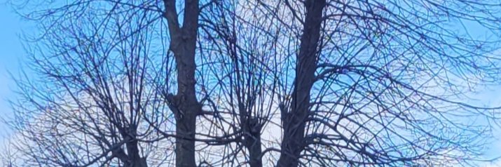 Jam banner