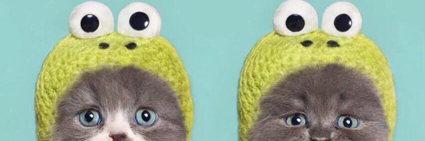 StoryFBoy's profile banner image