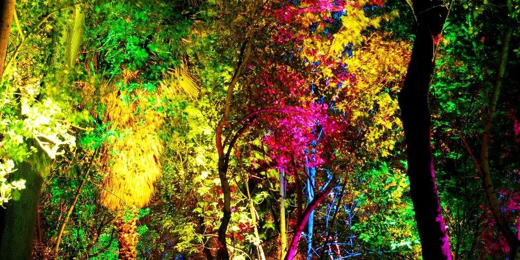 Juli_ettt's profile banner image