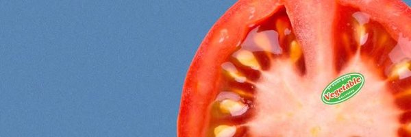 tamigoci Profile Banner