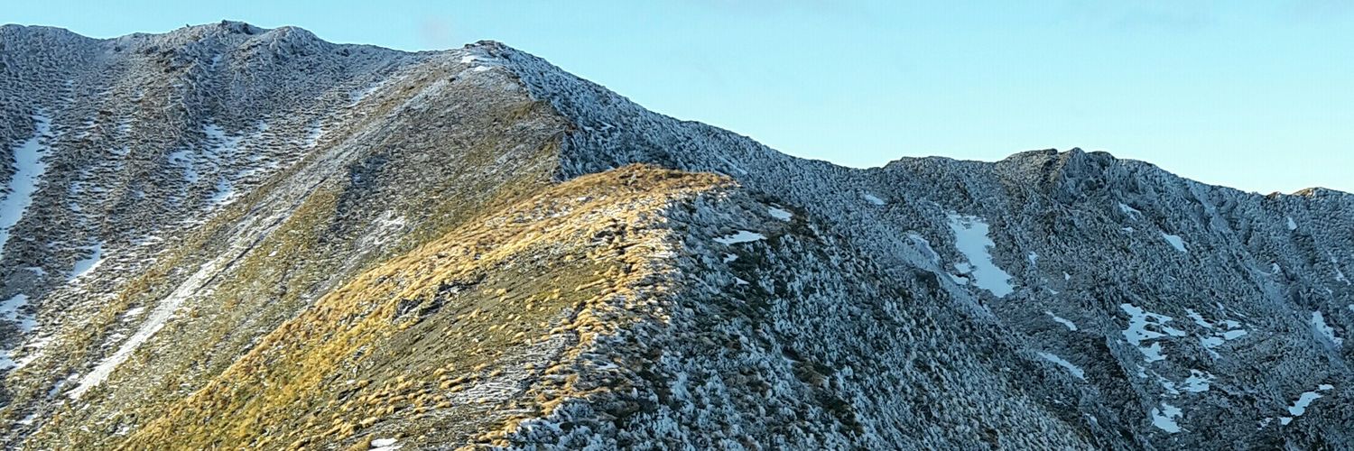Pungaface banner