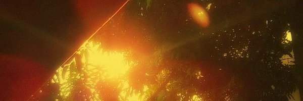 scrnrot Profile Banner