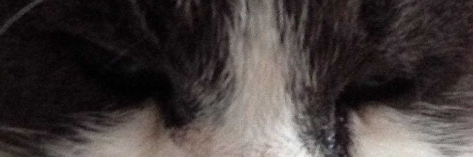 JuTif's profile banner image