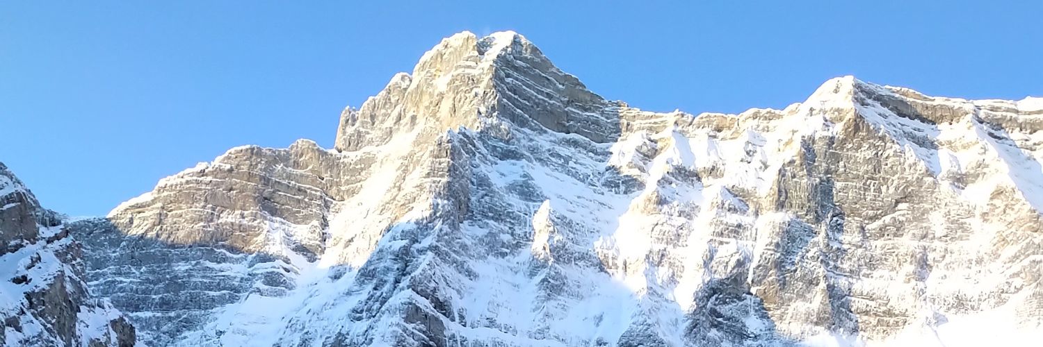 cdusdal's profile banner image