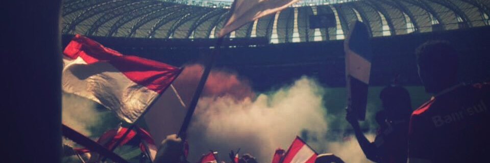 dessagaribotti's profile banner image