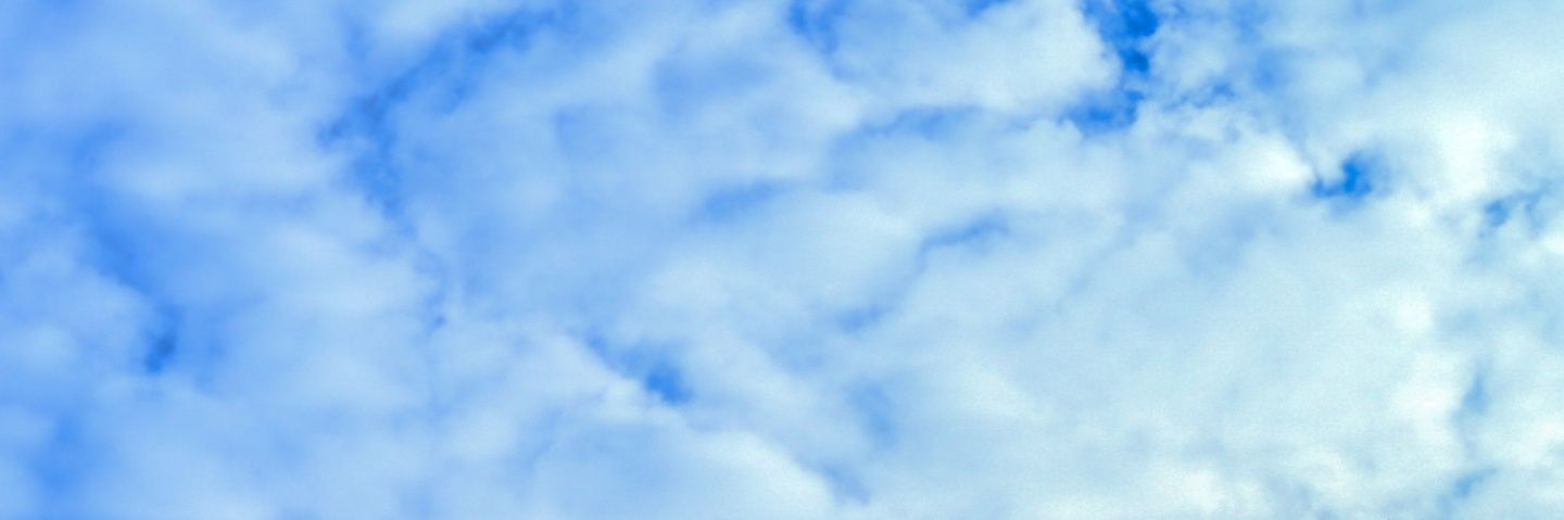 Milton Verseput banner