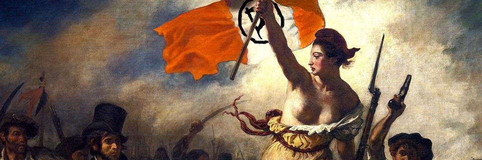PIRATEN Brandenburg's banner