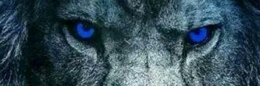 MsShoNuf's profile banner image