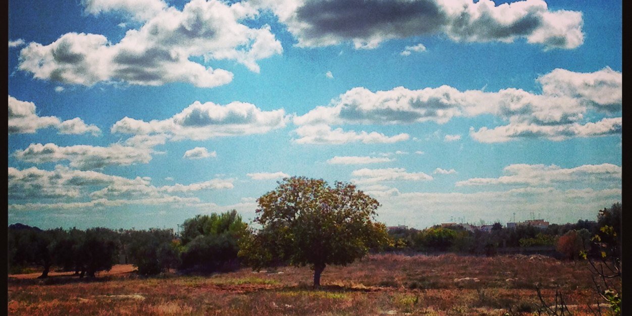 Milena Calogiuri banner