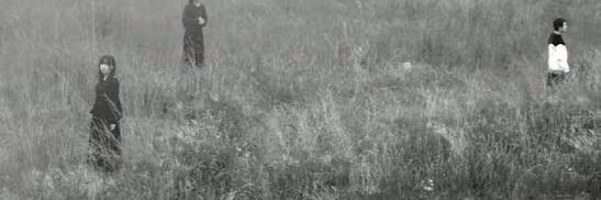 MellowwWU's profile banner image