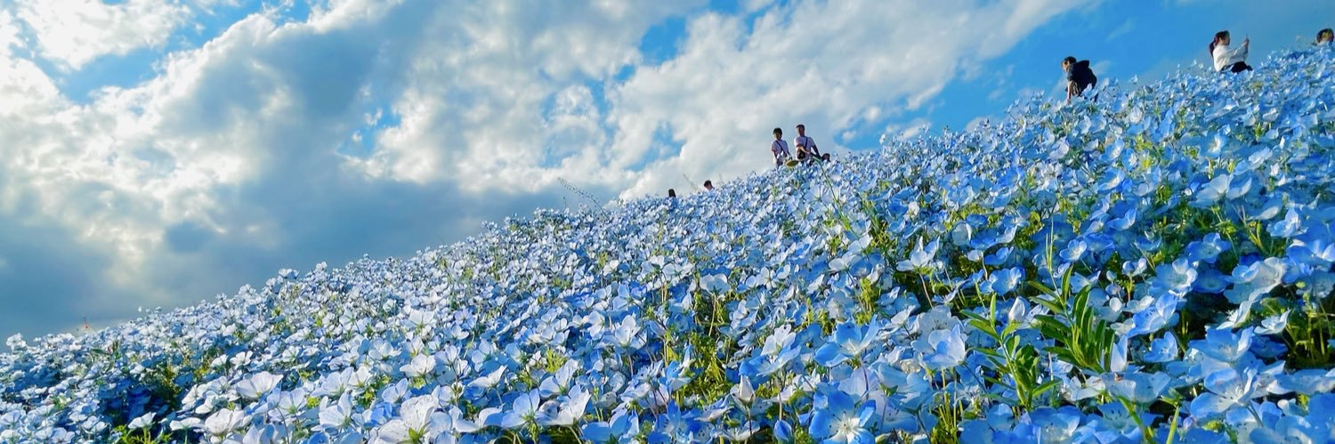 やながわ 真弓【国民民主党 神奈川県連 政策委員】 banner