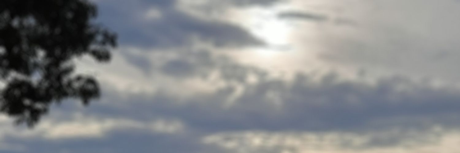 WagnerFQ2020's profile banner image