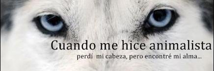 Patri banner