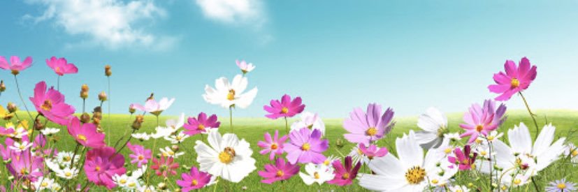 ProspectStuCo's profile banner image