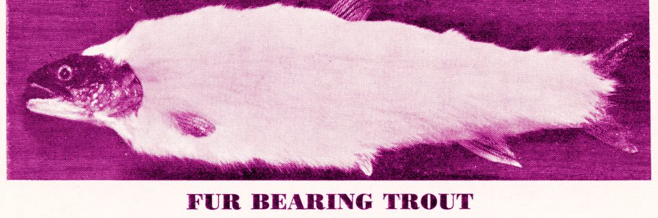 tentahugs's profile banner image