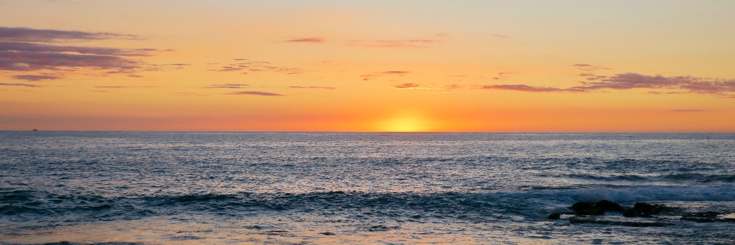 UCSD Regional Anesthesia & Acute Pain Service banner