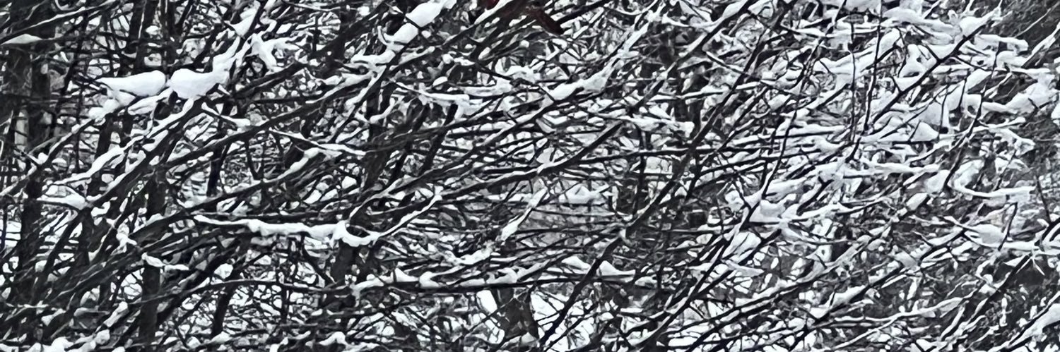 IsBecca's profile banner image